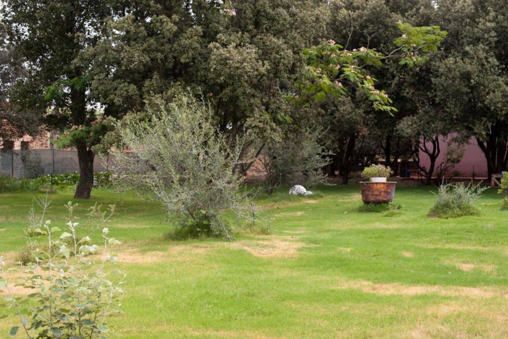 Villa Loft: Garden Retreat with Private Pool Sestu Exterior photo