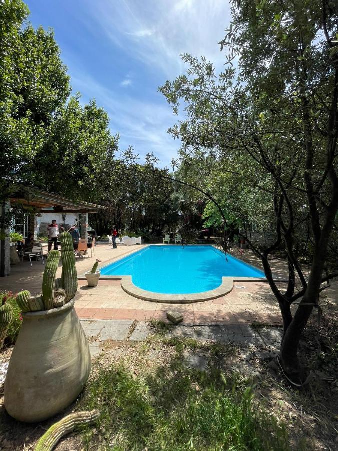 Villa Loft: Garden Retreat with Private Pool Sestu Exterior photo